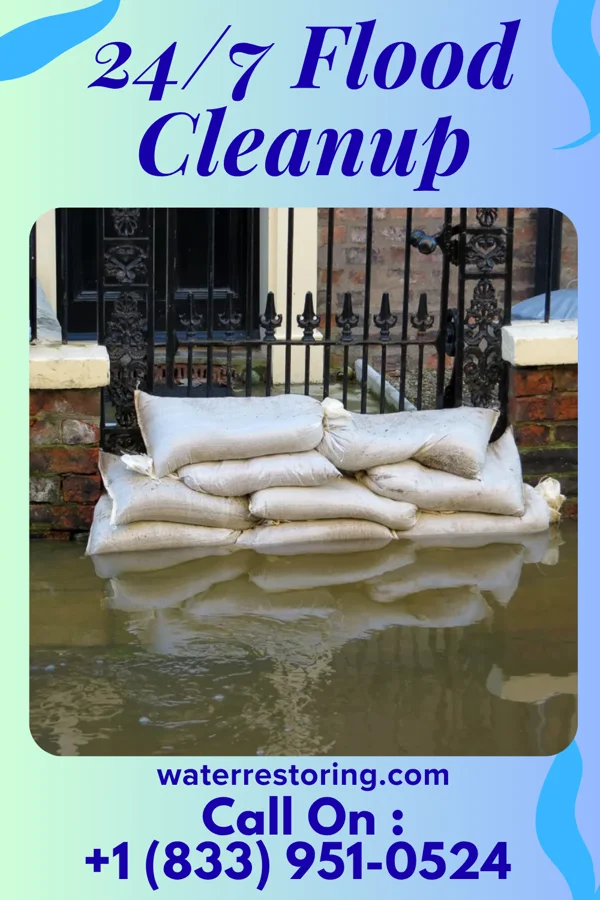 24/7 Flood Cleanup in Lake Geneva, WI