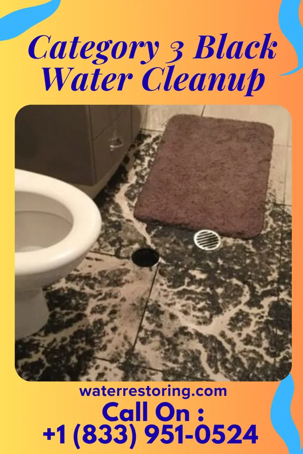 Category 3 Black Water Cleanup in Lake Geneva, WI