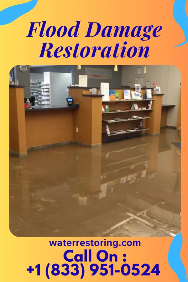 Flood Damage Restoration in Lake Geneva, WI
